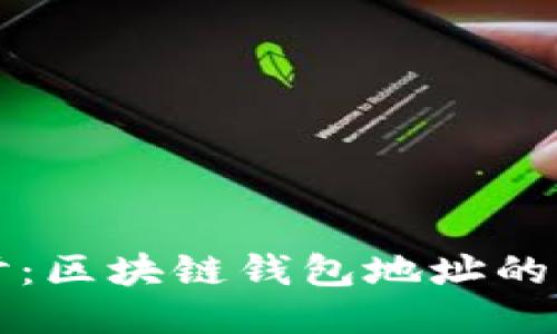 深入探讨：区块链钱包地址的编码长度