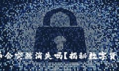 买了TPWallet的币会突然消失吗？揭秘数字货币冷钱