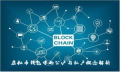虚拟币钱包中的公户与私户概念解析