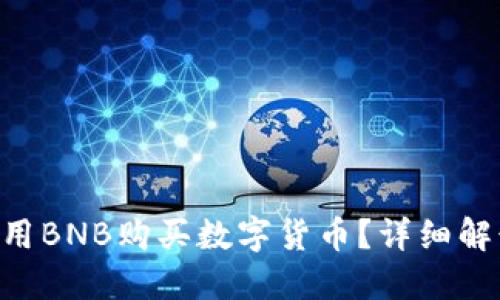 TP Wallet能否仅用BNB购买数字货币？详细解读与实际操作指南