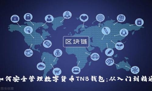 如何安全管理数字货币TNB钱包：从入门到精通