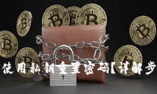tpwallet如何使用私钥重置密码？详解步骤与注意事项