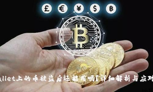 TPWallet上的币被盗后还能用吗？详细解析与应对措施