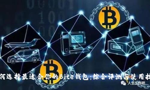 如何选择最适合你的Bite钱包：综合评测与使用技巧