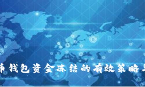 应对数字币钱包资金冻结的有效策略与解决方案