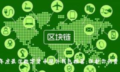 2024年度最佳数字货币硬件钱包推荐：保护你的资