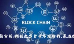 币圈实时行情分析：把握数字货币市场脉搏，赢