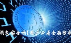 区块链银行钱包安全吗？用户必看全面分析与防