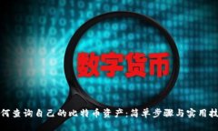 如何查询自己的比特币资产：简单步骤与实用技