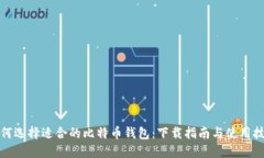 如何选择适合的比特币钱包：下载指南与使用技