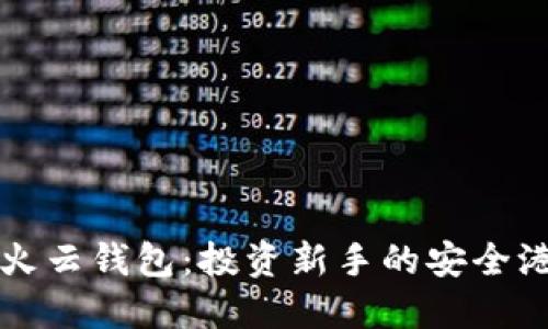解读虚拟币火云钱包：投资新手的安全港与潜力探索