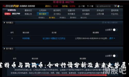 莱特币与狗狗币：今日行情分析及未来走势展望