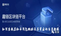 如何查找虚拟币钱包地址及其背后的交易数据