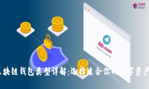 bianoti区块链钱包类型详解：选择适合你的数字资产存储方式