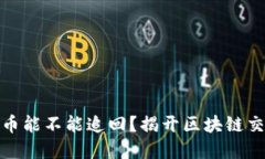tpwallet转错币能不能追回？揭开区块链交易的神秘